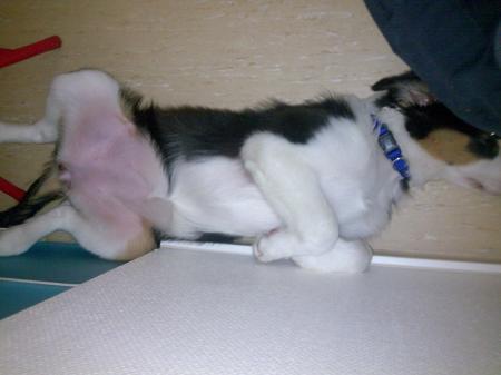 Bild zu 