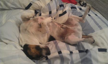 Bild zu 