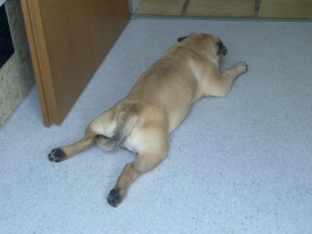 Bild zu 