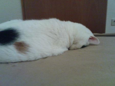 Bild zu 