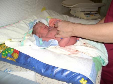 Bild zu