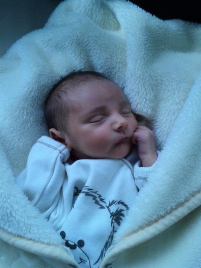 Bild zu Bild von Klein Luca - Forum für Juli - Mamis
