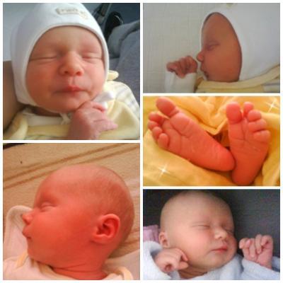 Bild zu möchte euch mal meine ... - Forum für Juli - Mamis