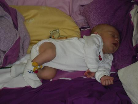 Bild zu 