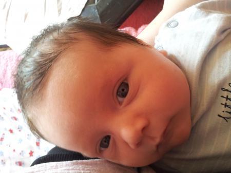 Bild zu
