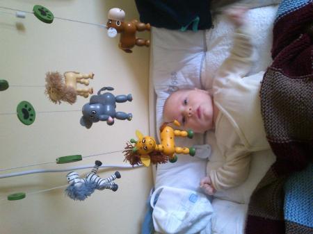 Bild zu 