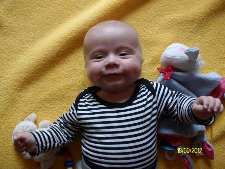 Bild zu 
