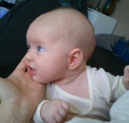 Bild zu 