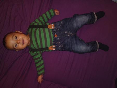 Bild zu