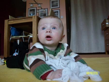 Bild zu