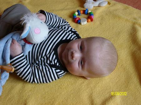 Bild zu