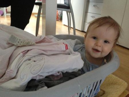 Bild zu