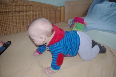 Bild zu