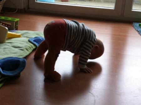 Bild zu