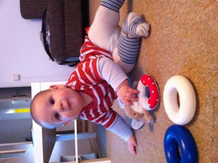 Bild zu 