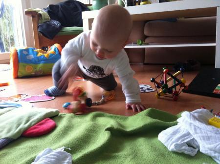 Bild zu 