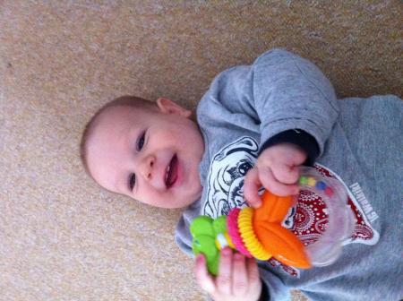 Bild zu 