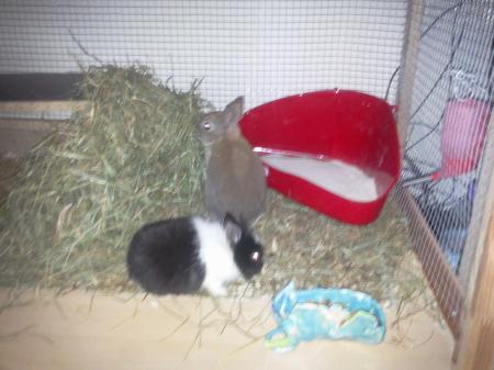 Bild zu 