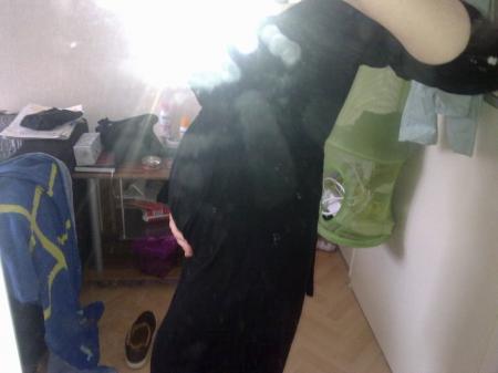 Bild zu