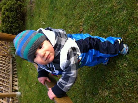 Bild zu 