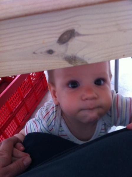 Bild zu 