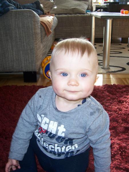 Bild zu 