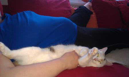 Bild zu 