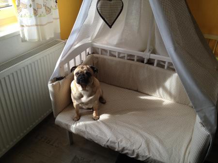 Bild zu 