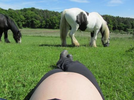 Bild zu 