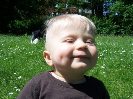Bild zu 
