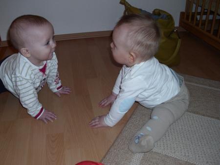Bild zu 