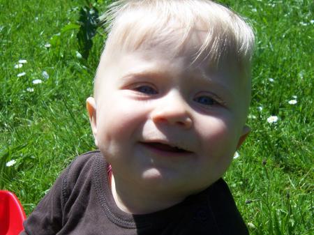 Bild zu 