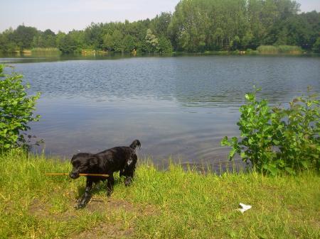 Bild zu 