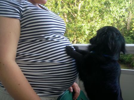 Bild zu 