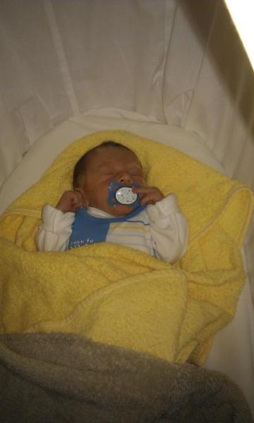 Bild zu