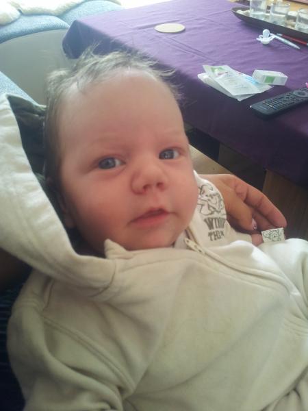 Bild zu 