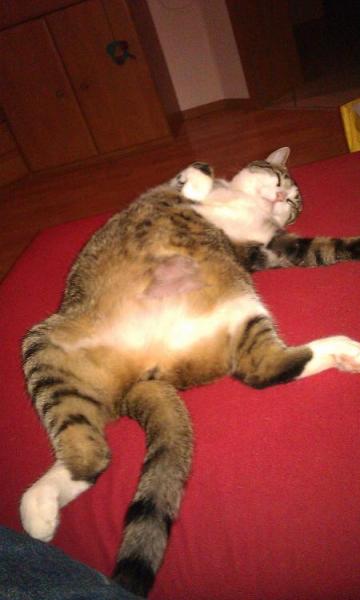 Bild zu 