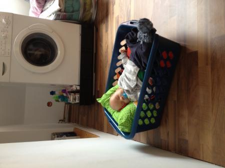 Bild zu 