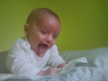 Bild zu 