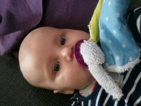 Bild zu 