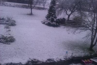 Bild zu Der Winter ist da - Forum für Juli - Mamis