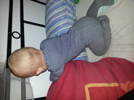 Bild zu 