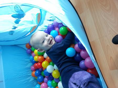 Bild zu