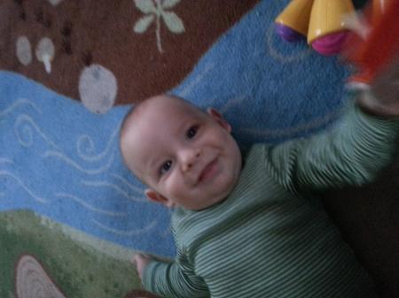 Bild zu