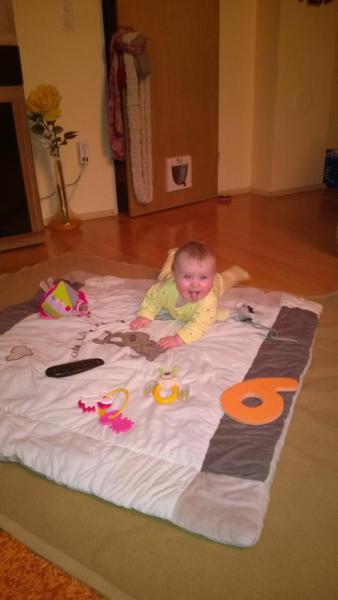 Bild zu 
