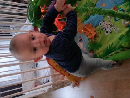 Bild zu 