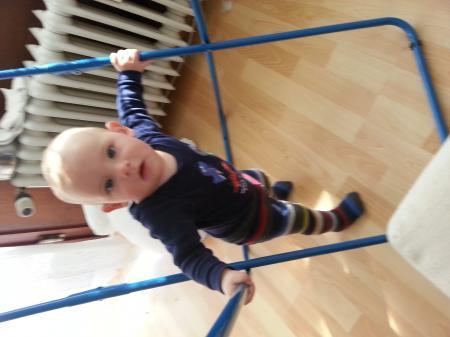 Bild zu