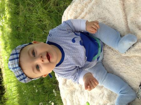 Bild zu