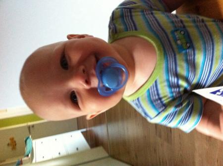 Bild zu 