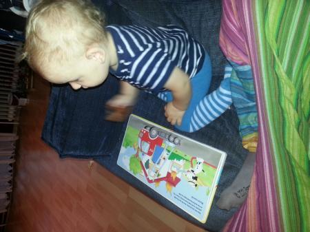 Bild zu